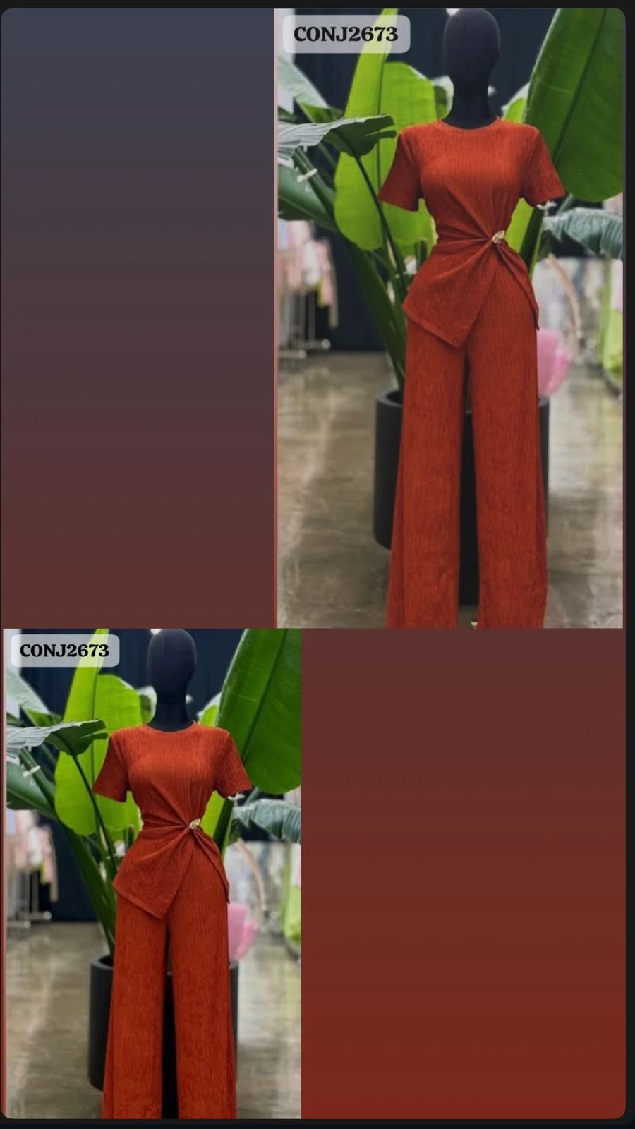 CONJUNTO PANTALON MUY MUY TORTUGA