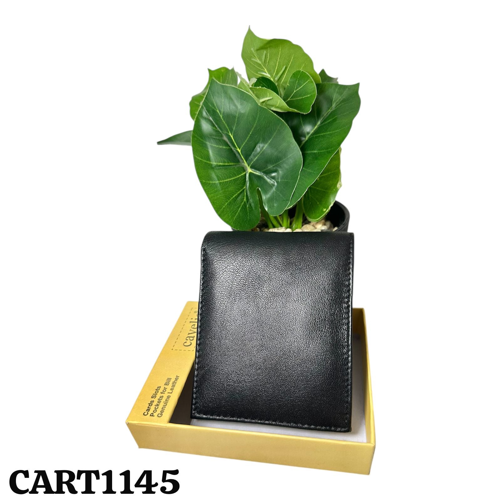 Carteras
