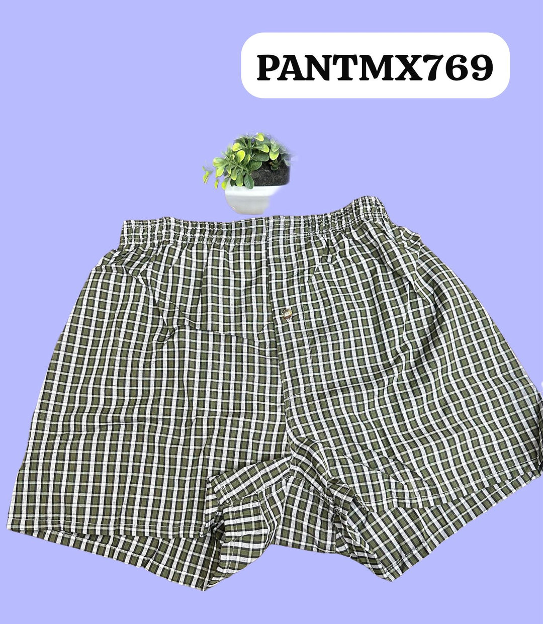 BOXER CUADRO 3/1